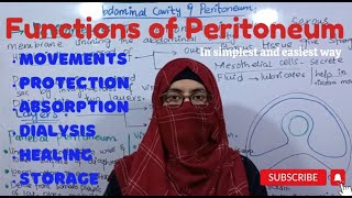 Functions of Peritoneum I Abdominal cavity and Peritoneum ayeshamedicaleducation [upl. by Maire822]