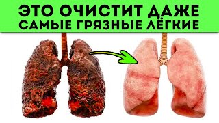 Как ОЧИСТИТЬ ЛЁГКИЕ за 3 ДНЯ 👍 МОЩНАЯ ОЧИСТКА  3 ЭЛЕМЕНТА [upl. by Schaeffer824]