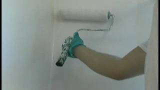 How to Paint a Bathroom  Bathroom Painting Rolling Walls [upl. by Lexerd435]