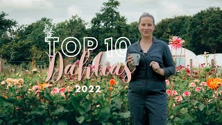 My TOP 10 DAHLIAS in 2022 [upl. by Vachell256]