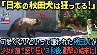 【海外の反応】恐いと言って嫌われた秋田犬が幼い少女の前で怒り狂い３秒後、衝撃の結果となった理由 [upl. by Violante]