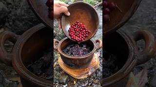 🌿🍲 Rosella Tea Drink with Lecy Fruit and Bay Fruit short camping drink relax rosella [upl. by Nadabas]