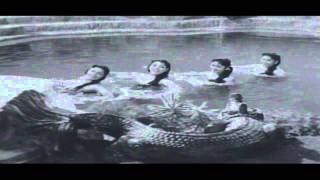 Jagadeka Veeruni Katha Movie  Varinchi Vachchina Video Song  NTR Saroja Devi [upl. by Nnaeirb79]