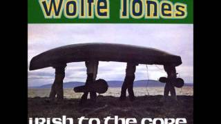 The Wolfe Tones  The Limerick Races [upl. by Arreyt]