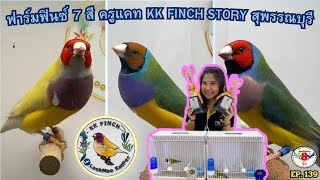 หงส์หยกแปดริ้ว EP139 ฟาร์มฟินซ์ 7 สี ครูแคท KK FINCH STORY สุพรรณบุรี [upl. by Lechar]