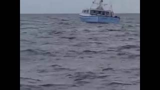 TJ on the HOT TUNA catching a giant bluefin on Jeffreys Ledge Gloucester Mass [upl. by Georgette271]