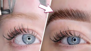 Microblading Eyebrows Step By Step  Brow Transformations [upl. by Akinak]