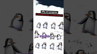 Why are penguins in the Antarctic not the Arcticmap world penguin arctic [upl. by Yalhsa674]