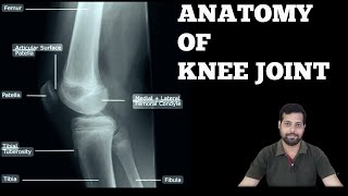 KNEE JOINT ANATOMY [upl. by Conny]