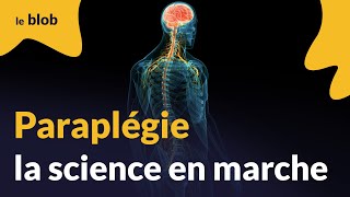 Paraplégie la science en marche  Actu de science [upl. by Laval]