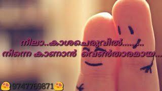 Neelakasha cheruvil song with lyrics നീലാകാശ ചെരുവിൽ [upl. by Rheims]