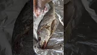 GRILLED CROAKER FISH shortfeed croaker barbecue [upl. by Peyton]