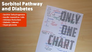 Sorbitol Pathway and Diabetic Cataract  2  Biochemistry [upl. by Goddart]