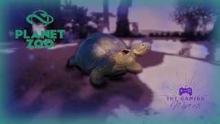 Galapagos Tortoise Habitat Build  Planet Zoo [upl. by Surbeck193]