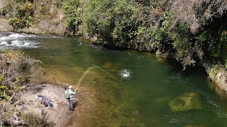 Fly Fishing THE BEST Trout River i have ever Seen [upl. by Haliled]