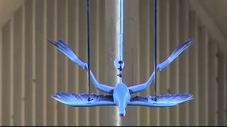 Microraptor in wind tunnel reveals flight secrets [upl. by Nahtanaoj]