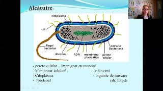 Diversitatea lumii vii Lectii de biologie  bacalaureat biologie vegetala [upl. by Orel268]