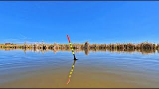 Pescuit la pluta pe apa rece canal salbatic [upl. by Raclima]