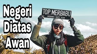 Mendaki Gunung Merbabu Yang Penuh Rintangan [upl. by Schreck]