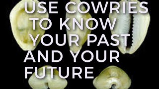 How to use Cowries to know Your past and the future theseer cowrieshell cowrie spiritualtips [upl. by Katalin612]