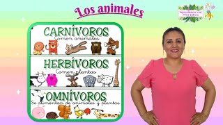 Los animales carnívoros herbívoros y omnívoros para niños [upl. by Anana]