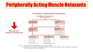 25 Peripherally Acting Muscle Relaxant  Skeletal Muscle Relaxants  Audio Classification of Drugs [upl. by Perron]