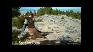 Casey Anderson and Brutus the Bear [upl. by Kramer]