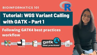 WGS Variant Calling Variant calling with GATK  Part 1  Detailed NGS Analysis Workflow [upl. by Enirehtak]