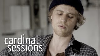 Johnny Flynn  The Lady is Risen  CARDINAL SESSIONS [upl. by Nagn]