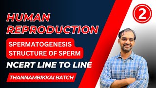 Human Reproduction  Part 2  NCERT line to Line  TB 2024 [upl. by Eilrac]