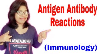 Antigen Antibody Reactions [upl. by Adur778]