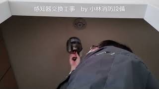 感知器交換工事㉜－4（小林優子 甲種消防設備士 低圧電気取扱い業務特別教育修了） fire alarm equipment～小林消防設備 福岡県豊前市 全類消防設備士 第二種電気工事士 経営学修士～ [upl. by Amleht]