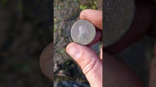 Rare 1000000 shellfish coin [upl. by Magdalena]