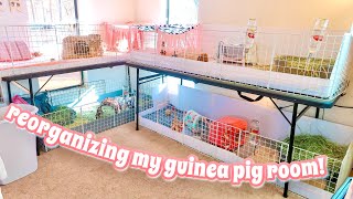 REORGANIZING MY GUINEA PIG ROOM AGAIN [upl. by Padraic]