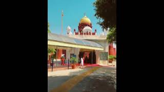 Shri Fatehgarh Sahib waheguruji shortsvideo shortsviral [upl. by Gradeigh]