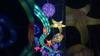 Lantern Festival lights up John Ball Zoo in Grand Rapids [upl. by Marmawke219]