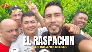 Los Bacanes del Sur  El Raspachin Video Oficial [upl. by Ytisahcal]