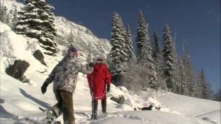 Jasper National Park ElkView Accommodation Jasper [upl. by Zusman683]