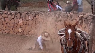 57  Lo Mejor de los Coleaderos  Jomulquillo Jerez Zacatecas [upl. by Ykcaj897]