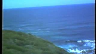 1979 Hanimex VC600P colour camera at Hill 60 Port Kembla Part 2 [upl. by Dael]