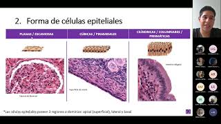 Semana 1  Tejido Epitelial  Histología  26022023 [upl. by Karli]