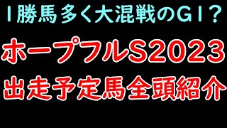 ホープフルS2023出走予定馬を全頭紹介！1勝馬がほとんどで大混戦！？主役はゴンバデカーブースとシンエンペラー！？【ホープフルステークス2023】 [upl. by Carrington]