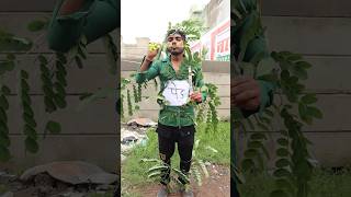 पेड़ लगाओ ज़िंदगी बचाओ ♥️ comedy savetrees shortsfeed viral [upl. by Vastah]