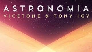 Vicetone amp Tony Igy  Astronomia [upl. by Mart]