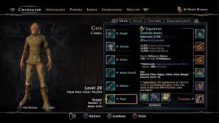 Neverwinter Full Hunter Ranger Build for Master Moondancer [upl. by Thay]