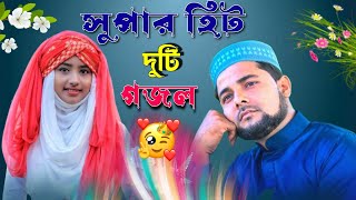 সুপার হিট দুটি গজল  Shilpi Afsana Parveen o MD Arab Islam new gojol [upl. by Cassady731]