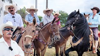 Cabalgata CON MULAS en OCONAHUA JALISCO [upl. by Elsinore]