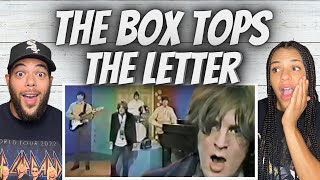 SO SWEET FIRST TIME HEARING The Box Tops  The Letter REACTION [upl. by Ahsemrac]