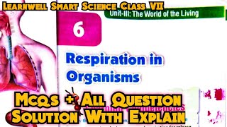 Respiration in Organisms Class 7 chapter 6 Learnwell Smart Science class 7 CBSE All Question Answer [upl. by Leunad643]