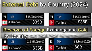 External Debt and Foreign Reserve by Country TOP 145 [upl. by Otis]